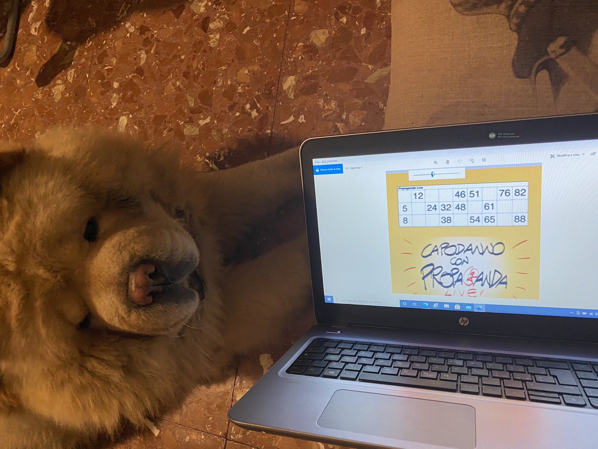 Antonella Guarneri tweet media