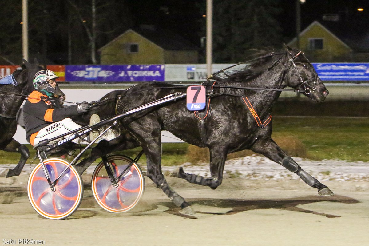 Raviliiga KooKoon Fruttifero Luca on myyty. Ruunan hinnaksi tuli 6350 euroa. Hevosen osti Toni Granat. 🤩 #ravit #raviliiga