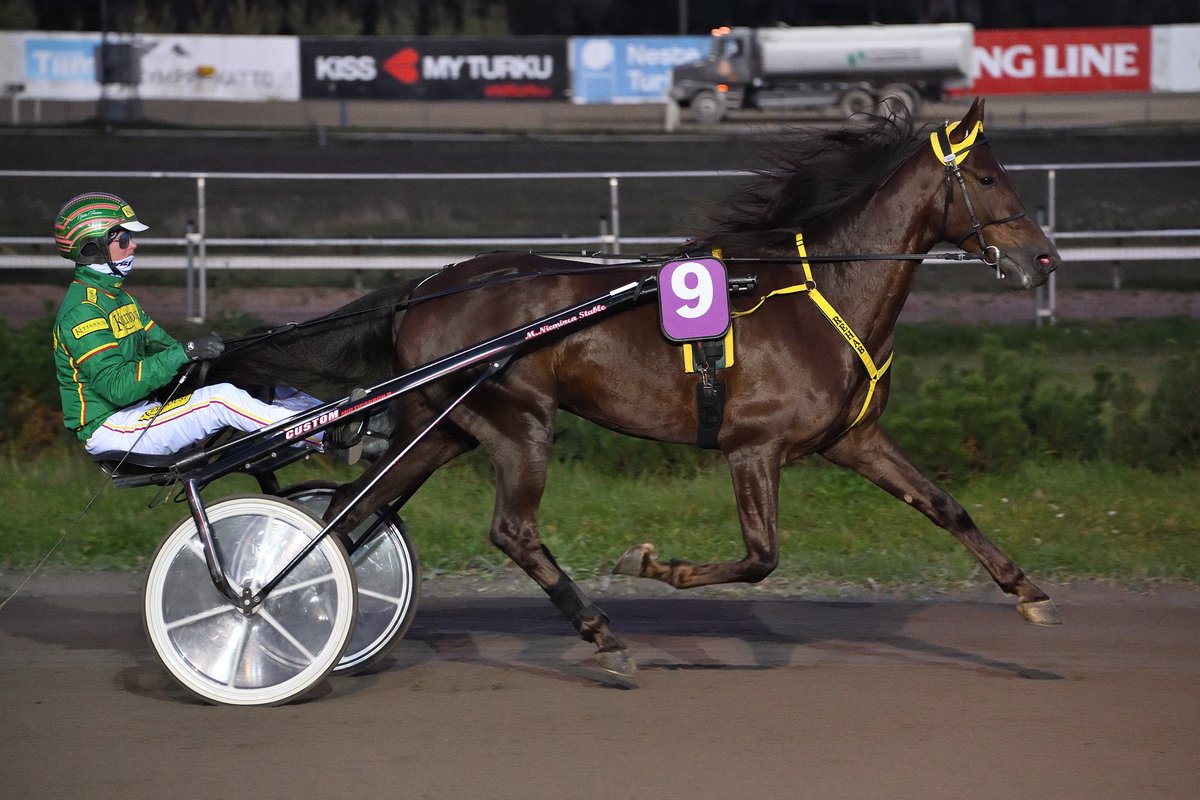 Raviliiga Ilveksen Rehab on myyty hintaan 13 200 euroa. Ruunan osti Anne Talonen-Levula yhdessä miehensä Janne Levulan kanssa. 🌟 #ravit #raviliiga