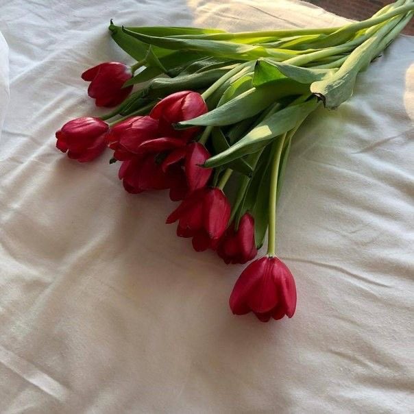 sanstudy1's tweet image. “Maybe all anyone ever needs is for someone to notice them, to observe them.”