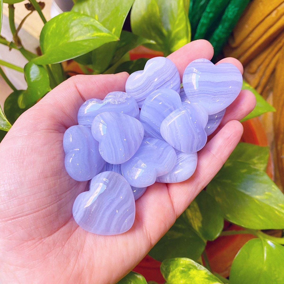 jesusybuddha's tweet image. Mirad que bonitos los nuevos Mini Corazones de #Calcedonia que han llegado en uno de nuestros últimos pedidos de #Cristales. 

Esta piedra armoniza tu #cuerpo, #mente, #pensamientos y #sentimientos con tu #espíritu y ayuda a m.facebook.com/story.php?stor…