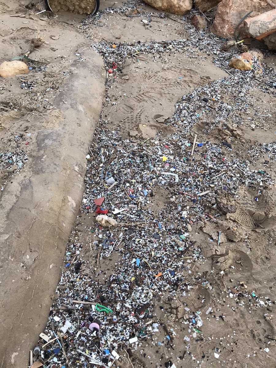 SirihCodrum's tweet image. Avui a la zona naturista de la platja Savinosa a Tarragona era impossible no trepitjar els plàstics i pellets que s’hi acumulen 😞 #pellets #Tarragona