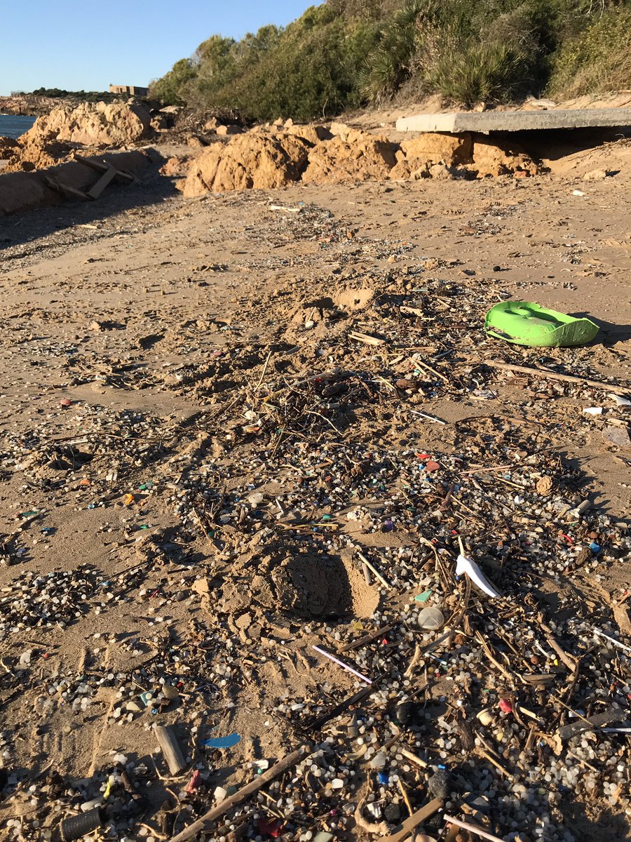 SirihCodrum's tweet image. Avui a la zona naturista de la platja Savinosa a Tarragona era impossible no trepitjar els plàstics i pellets que s’hi acumulen 😞 #pellets #Tarragona