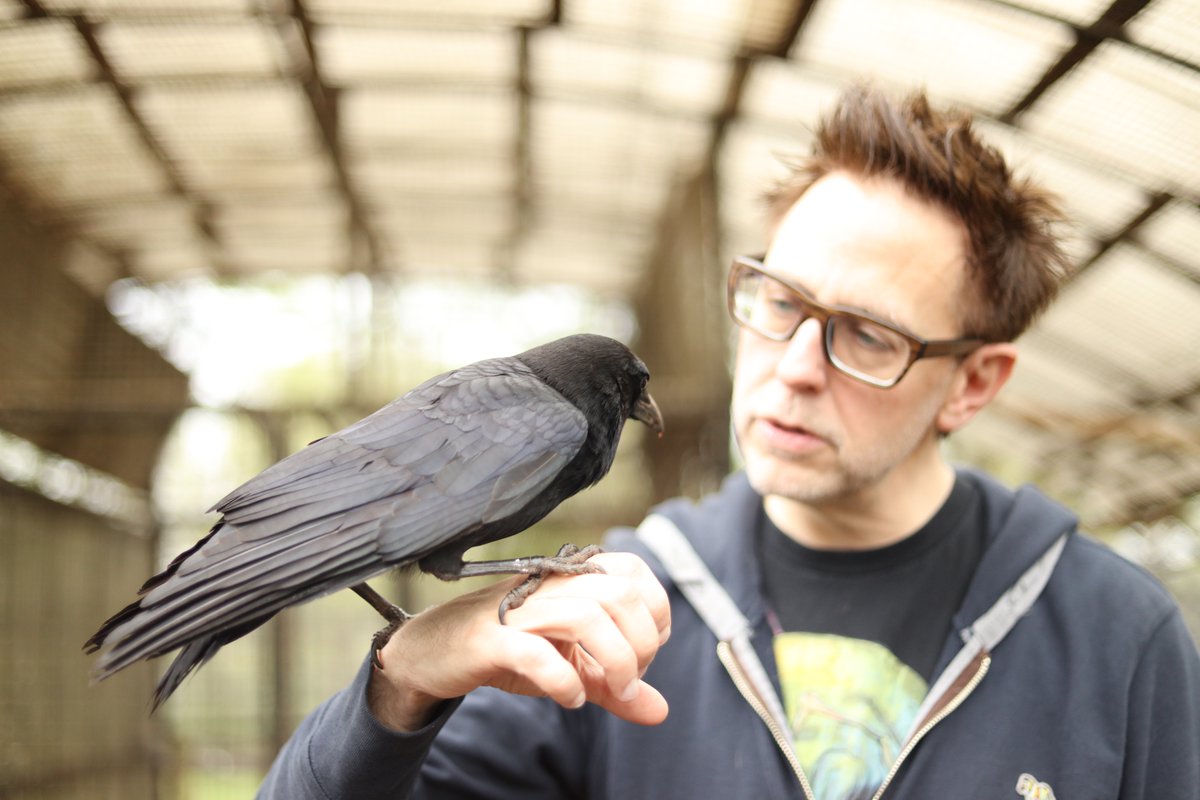 This is a good time to post some pics of my favorite crow in the world, my buddy, Gru, from  @NoahsArkClub.