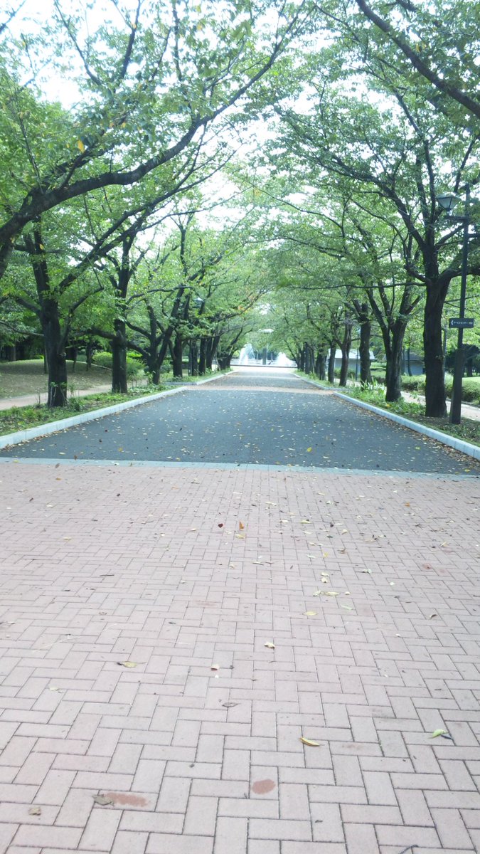ʚねこにしɞ 大福の誕生日いつ 13年にごくせんロケ地巡りした時の ごくせん公園すぎて最高だった 府中の森公園 ʚねこにしɞ 大福の誕生日いつ 13年にごくせんロケ地巡りした時の ごくせん公園すぎて最高だった 府中の森公園