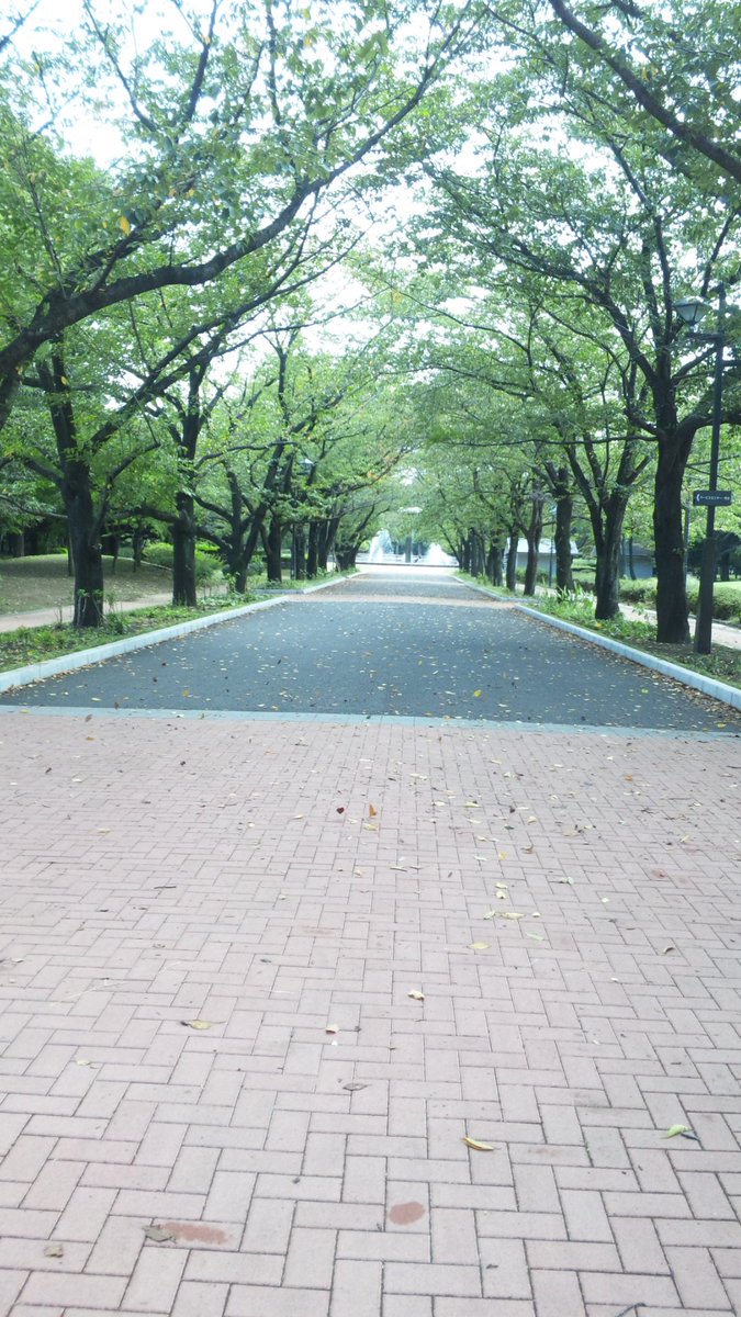 ʚねこにしɞ 大福の誕生日いつ 13年にごくせんロケ地巡りした時の ごくせん公園すぎて最高だった 府中の森公園