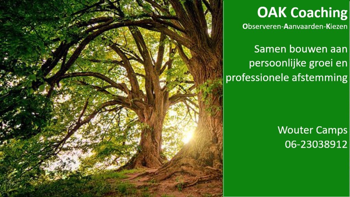 Wouter Camps (@woutercamps) on Twitter photo 