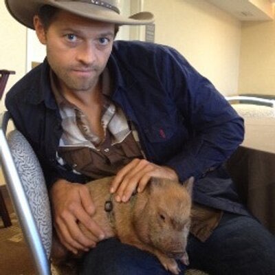 Say something nice about Misha in the comments if you’d like /srs feel free to tag him but I’ll send you to jail  /j