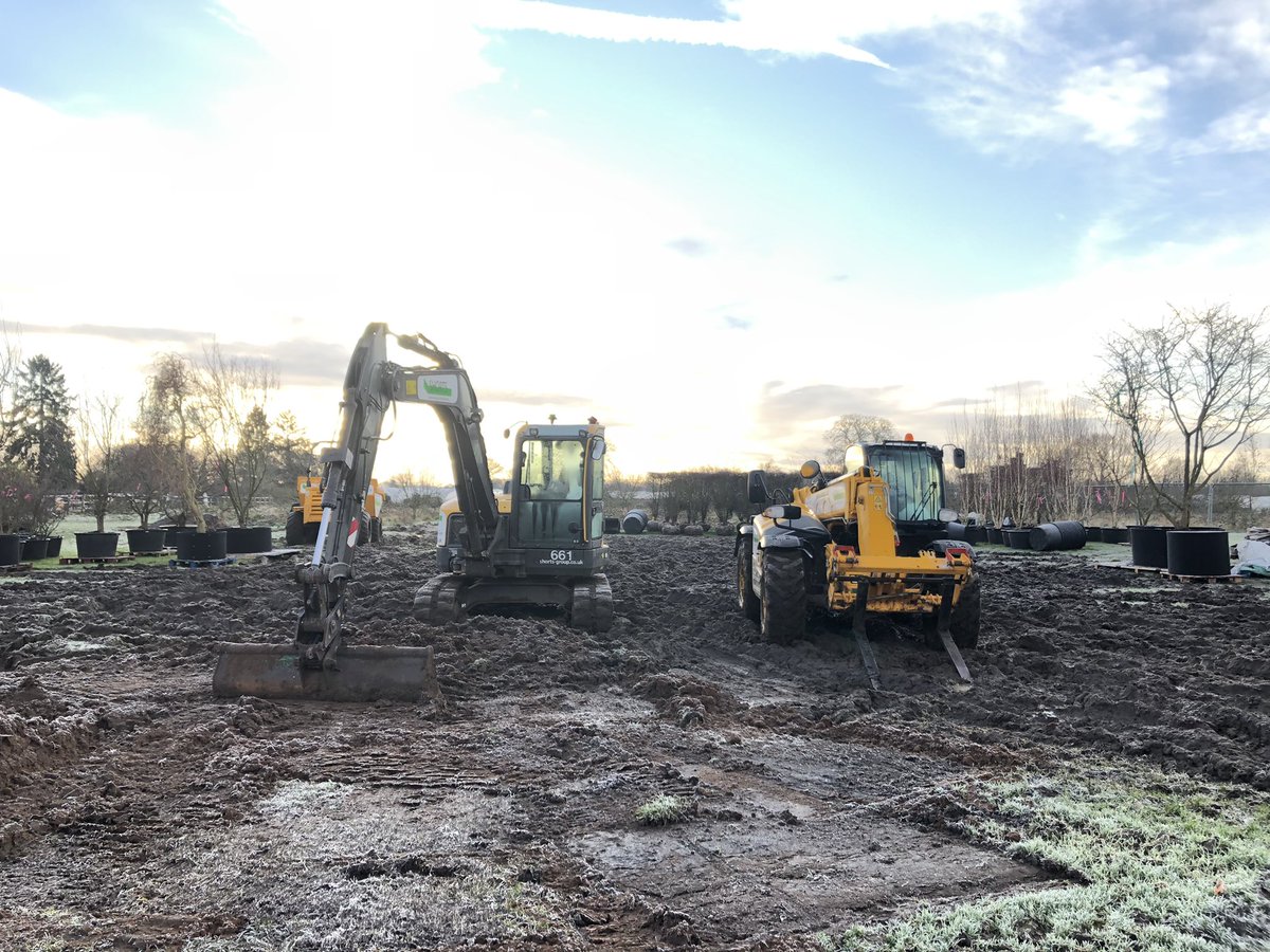 Jamie Butterworth (@gardener_jamie) on Twitter photo Our new tree showroom progressing well in today’s cold but beautiful weather!
<a href="/FormPlants/">Form Plants Ltd</a> <a href="/ButterworthHort/">Butterworth Horticulture</a> <a href="/dorneycourt/">Dorney Court</a> <a href="/DC_KG/">Crocus at Dorney Court</a> Our new tree showroom progressing well in today’s cold but beautiful weather!
<a href="/FormPlants/">Form Plants Ltd</a> <a href="/ButterworthHort/">Butterworth Horticulture</a> <a href="/dorneycourt/">Dorney Court</a> <a href="/DC_KG/">Crocus at Dorney Court</a>