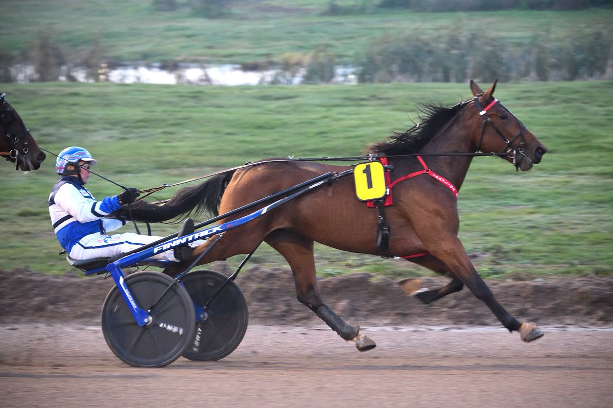Raviliiga HIFK:n Mascate Match on myyty. Tamman hinta on 307 000 euroa. Hevonen jää Suomeen Massi Stablelle, johon kuuluu myös hevosen nykyisiä omistajia. 🙌🤩 #ravit #raviliiga