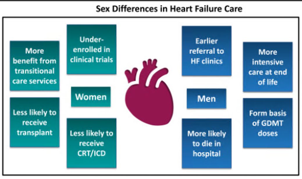 DrRajivsankar's tweet photo. Congrats @hvanspall Kristen Sullivan and team for highlighting sex based differences in #heartfailure https://t.co/apjoKh46FE @BSHeartFailure @BSHNurseForum @CarysBarton @clarelmurphy @drpmcampbell @pumpinghearts @DargoiSatchi @foziaahmedMD @drstephenpettit @paulcallan843 https://t.co/hSKF5CD2rg