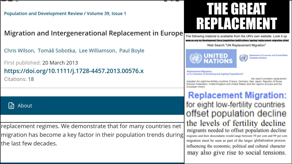 9. "ThE gReAt rEplAcEMeNt iS A cOnSpiRaCy tHEorY"