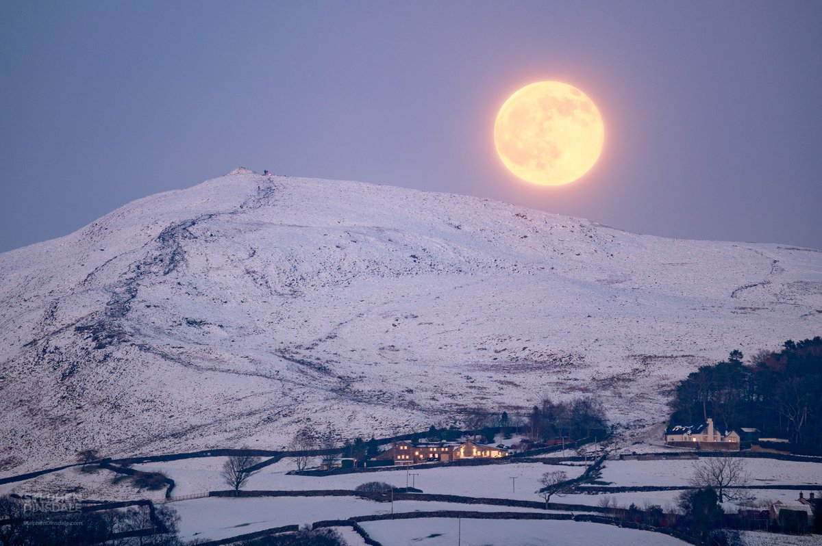 Stephen Dinsdale 📷 ♥️🧡 tweet media