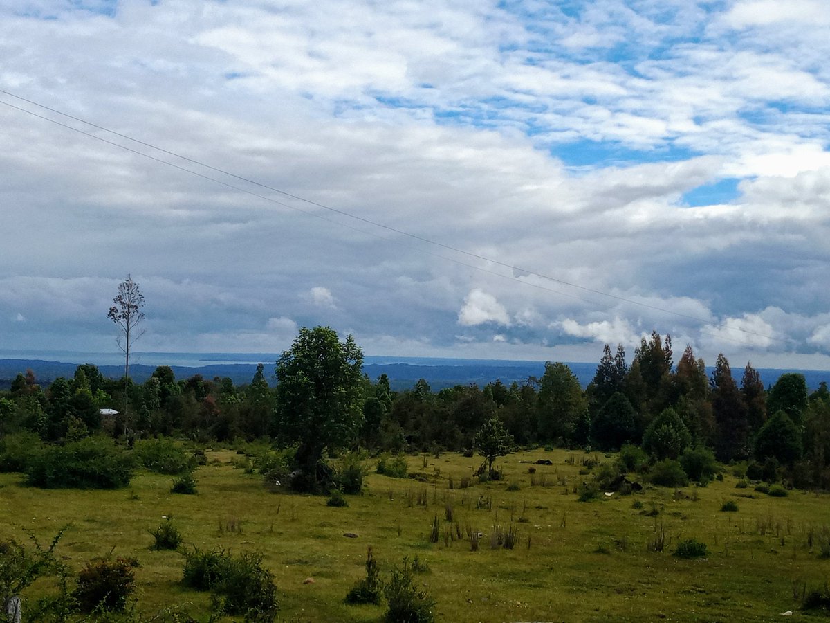 nuevasurena's tweet photo. Con amor para ustedes. ❤️
#RioSur #VolcanCalbuco #PuertoMontt https://t.co/nTZGGBORKx