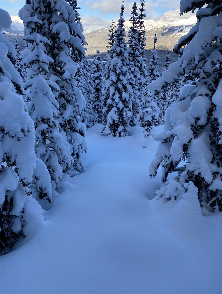 Check out this winter wonderland! From our program director ‘Mama Mintz’ snowshoeing at Lake Louise!! @marcymintz