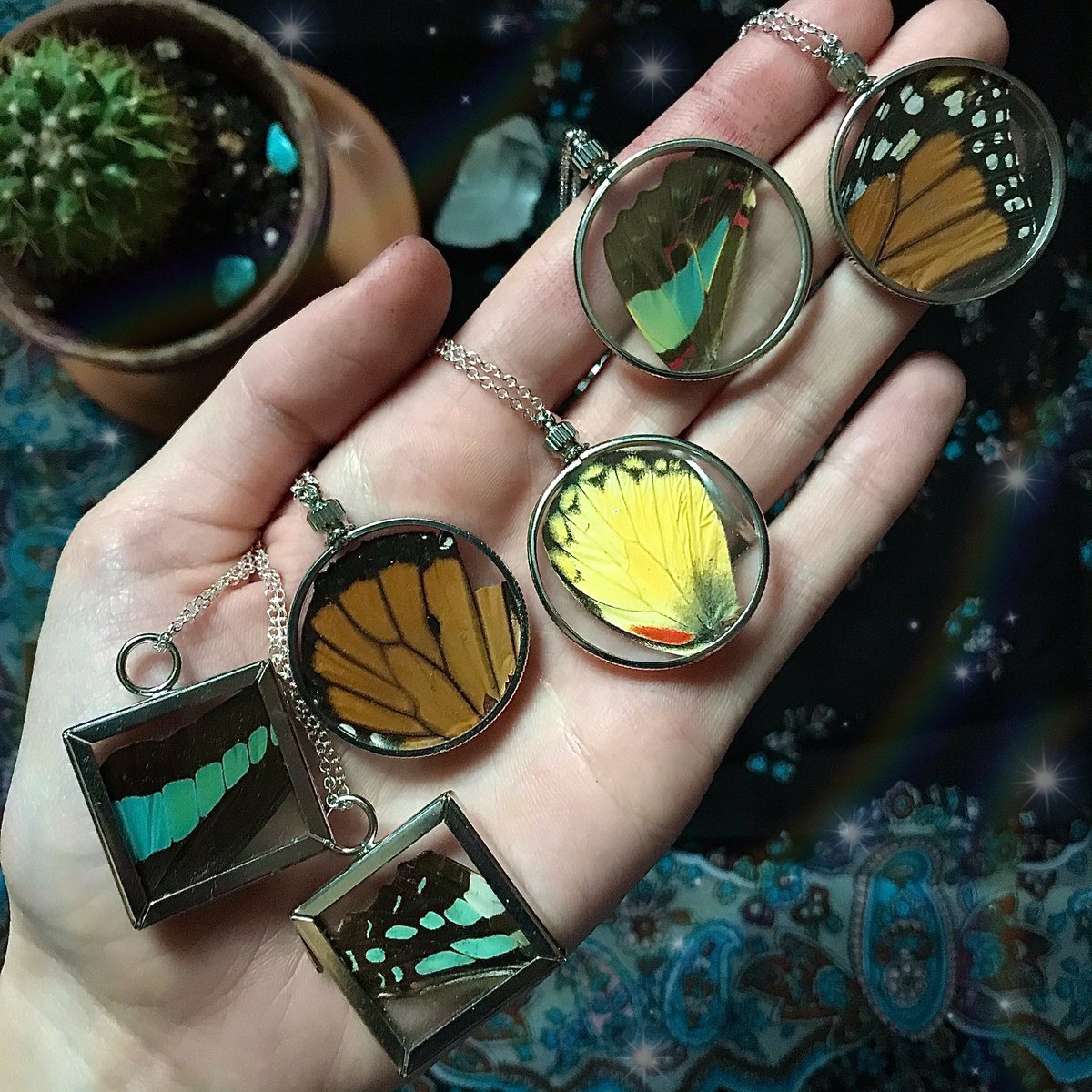 Long time, no see! 👁 Check out these new ethically sourced butterfly wing pendants that just hit the shop! 🦋✨
.
I wish you nothing but happiness, good health, and all the good vibes this new coming year of 2021. 💖
.
Link in the bio. 😸
#butterfly #butterflynecklace