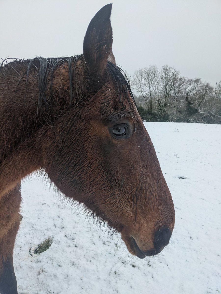 Phillys_Chance's tweet photo. Check out our Instagram for more pictures and to keep up to date with our antics 💜

https://t.co/ngAF8SlxQS https://t.co/44sfGbbVEA