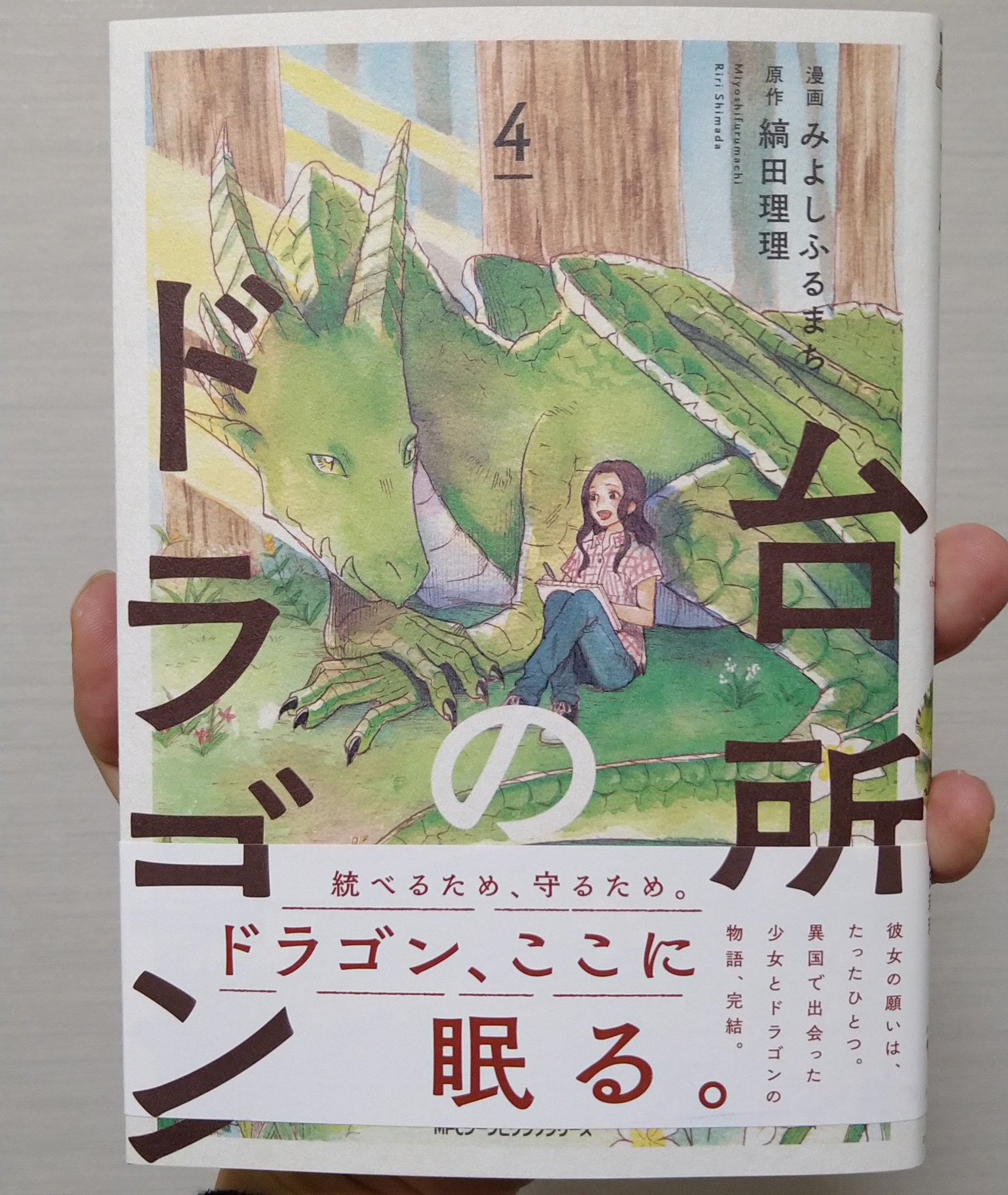 もぎす A Twitter 台所のドラゴン 4巻読んだ ドラゴンと画家志望の女のコとの不思議なお話も完結 優しい気持ちで接することで 未来は大きく変わる 感謝とか愛情忘れずにといった道徳的な絵本みたいなお話でした 小学校上がるかなぐらいのコ達に読ませたい