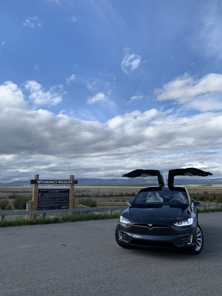 Kasterix tweet media