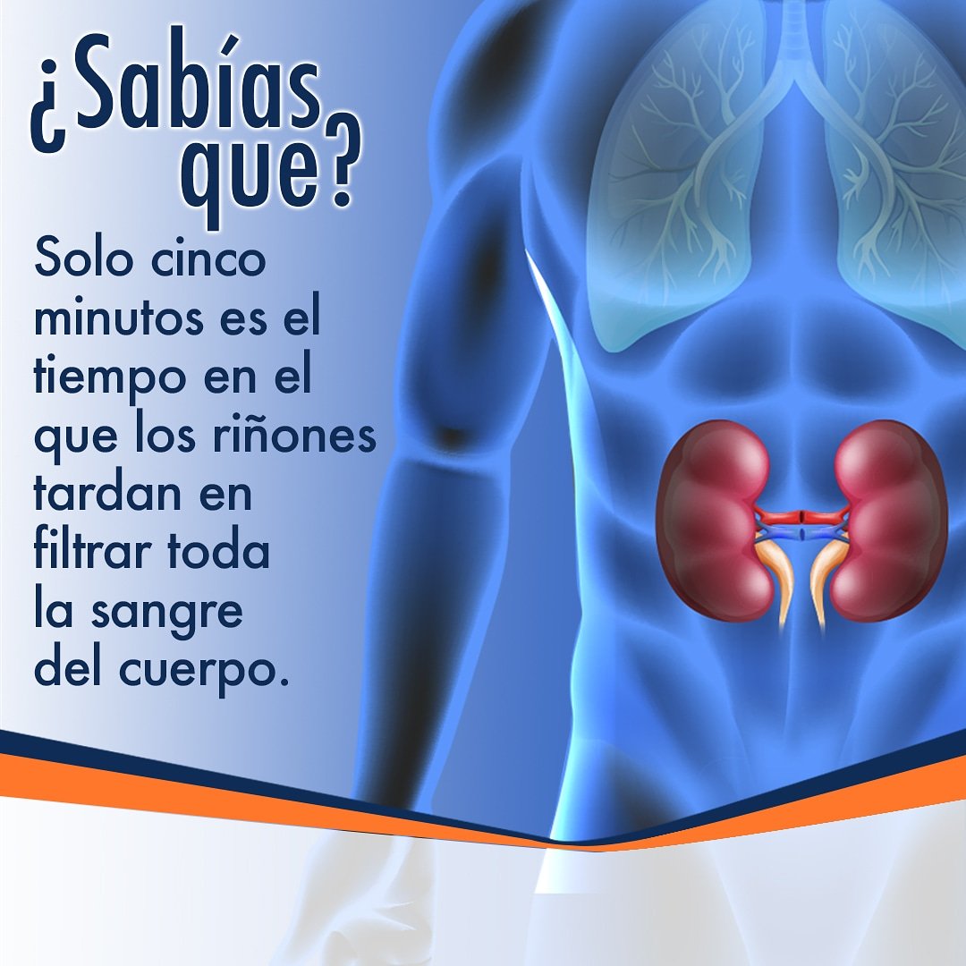 ¿Sabías esta información? 

¡Coméntanos! 

#valmorca #laboratorio #riñones