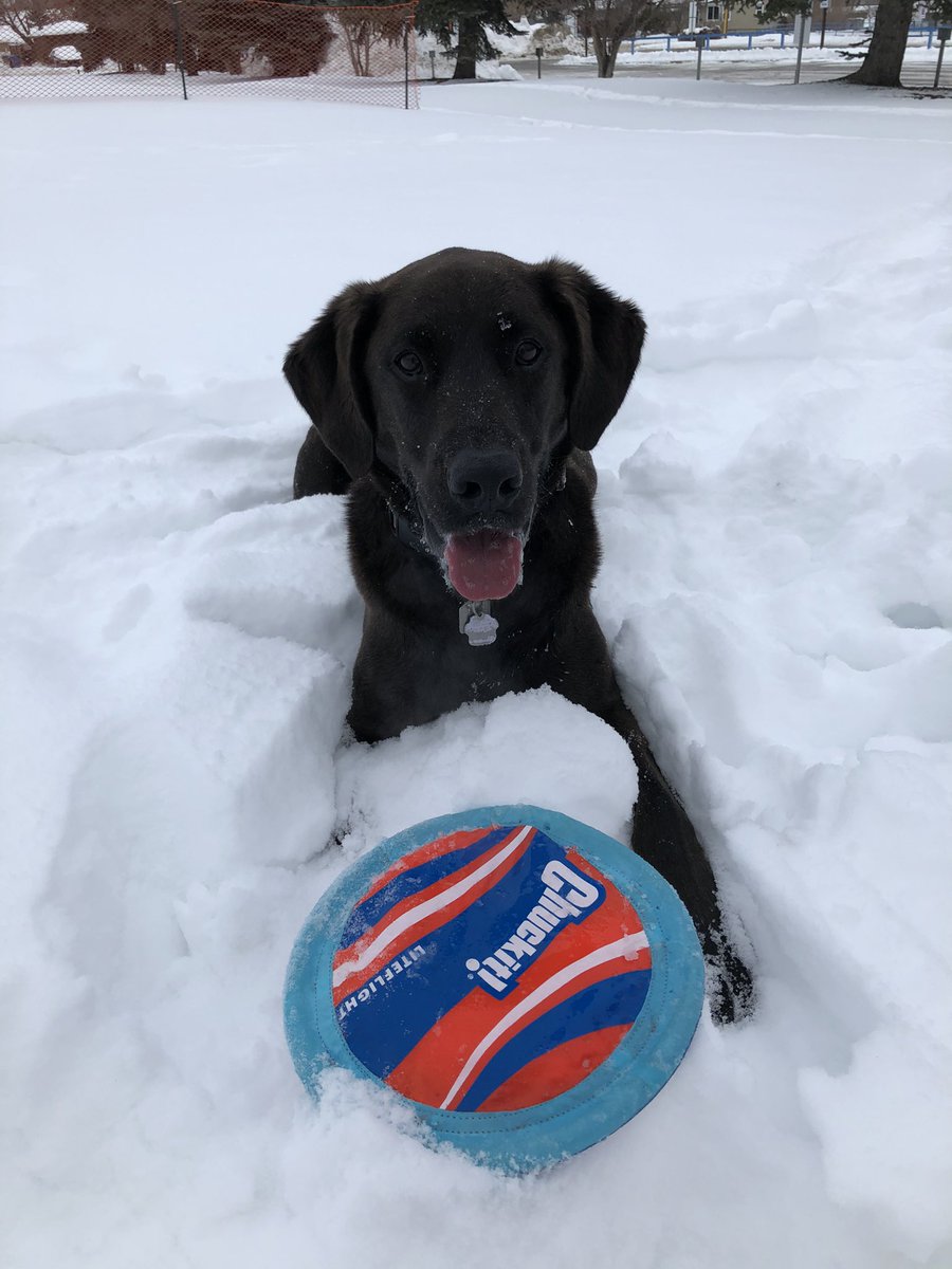 Frisbee is an all season sport especially with the #chuckit! lite flight