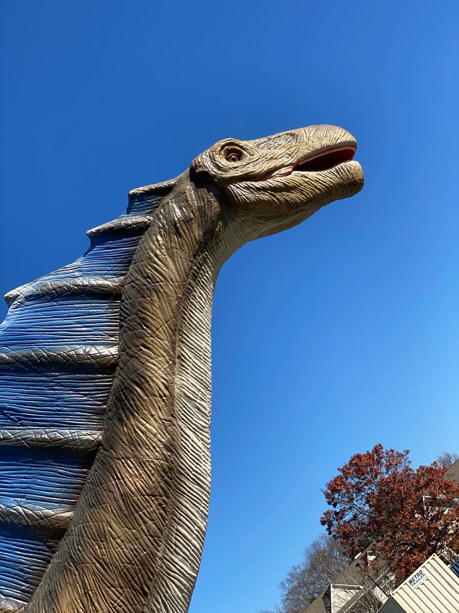 dinosafariusa's tweet photo. Last chance to experience Dino Safari Drive Thru Adventure. 
 Ends Jan 3. 🦖https://t.co/xCEWdGSzlF🦕
#Dinosafariusa #northpointmall #dinosaur #drivethru #dinosafari #familyfriendly #JohnsCreek #Duluth #Alpharetta #Suwanee #PeachtreeCorners #Norcross #SandySprings #Dawsonville https://t.co/42r1TUTi34