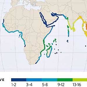 No one is really sure where in the world it originated, but it seems clear it's an early example of a marine invasive species. Its marine wood diet suggests that it evolved among mangroves, but we first find written references in ancient Greece where mangroves were absent: