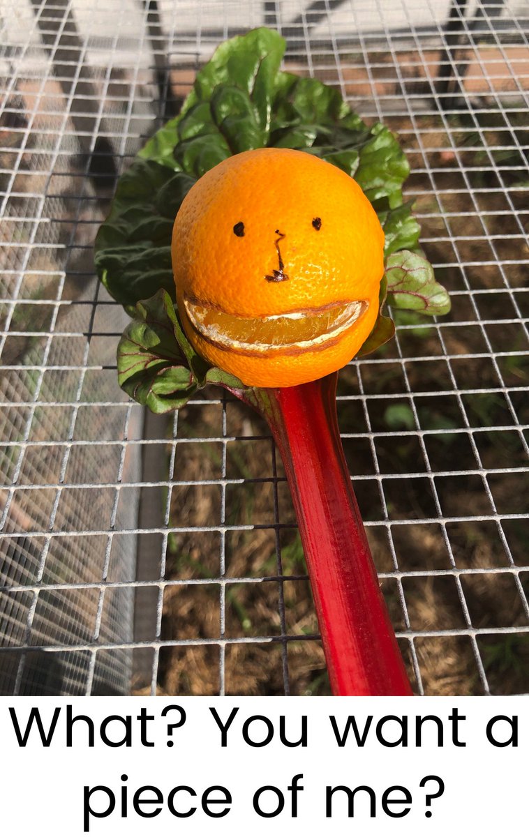 Having fun with fruits and vegetables. Mr. Lettuce Face is beaming. Mr Orange Man is a little cranky, the rain split his mouth open
