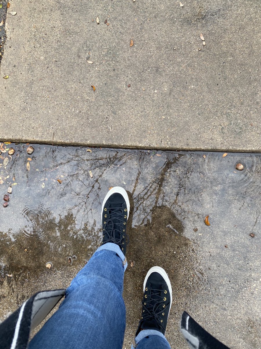 Miss Sanz tweet media