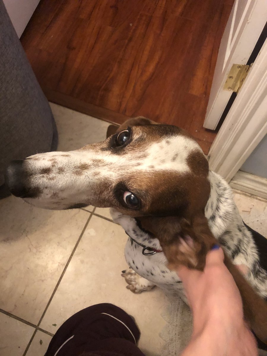 Pvt. FlapJax16 tweet media