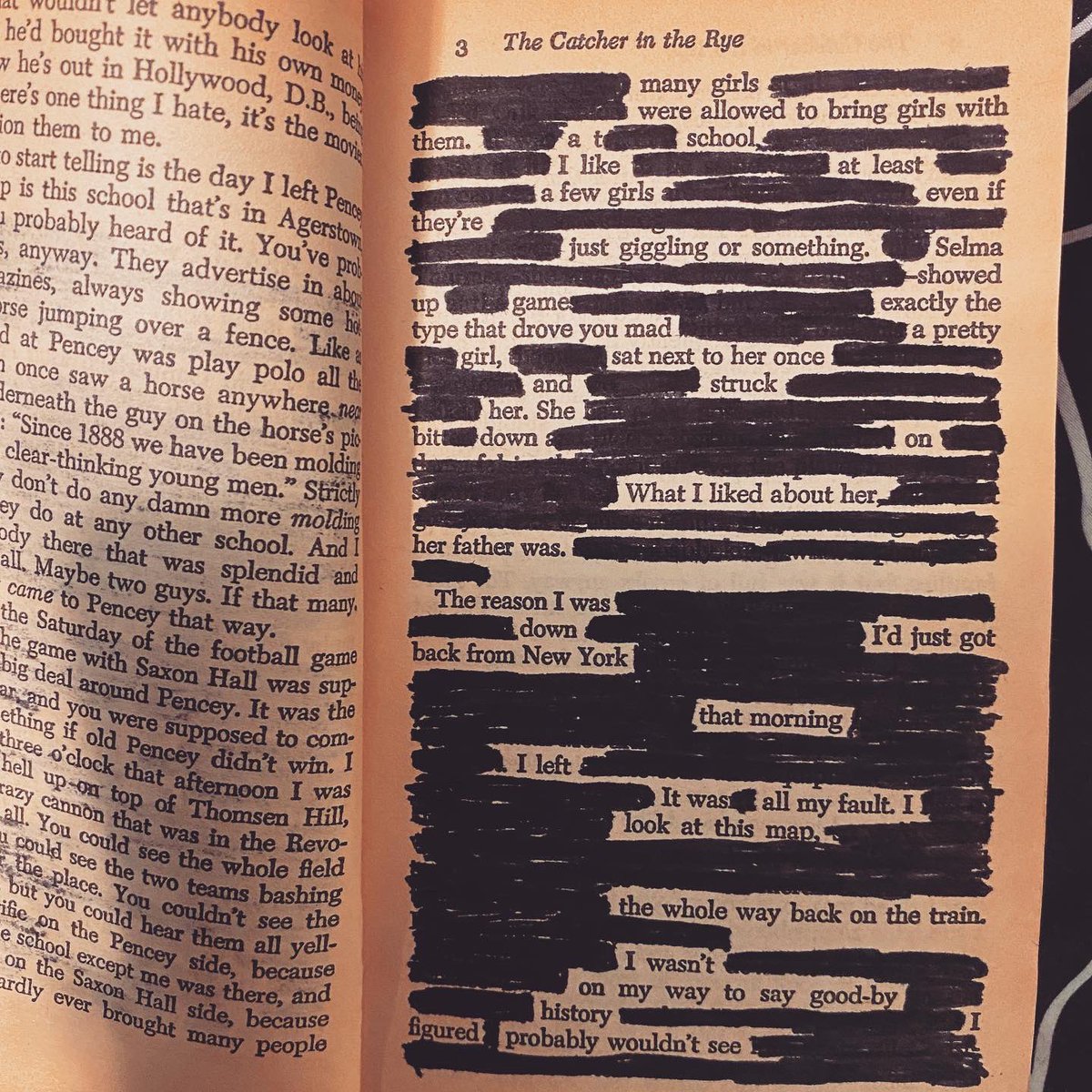YourTrustyAlibi's tweet photo. It is actually fine to vandalize J.D. Salinger https://t.co/ZiNGmDK4UL