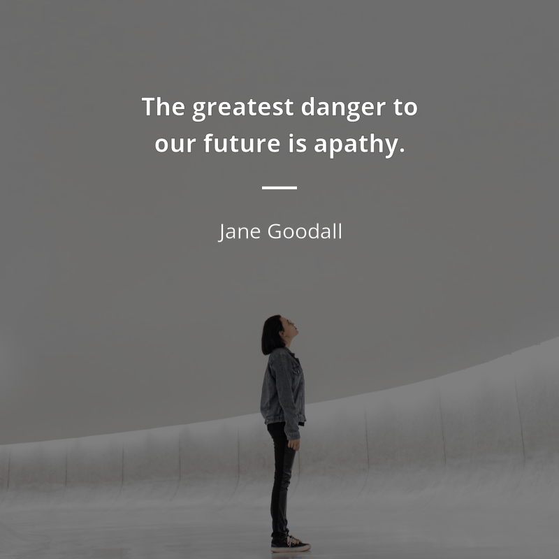 5. Be  #Grateful FOR See the goodTO  Express  #gratitude IN  hardship - be  #humble and  #authentic  Know your  #WHY But Please, P L E A S E PLEASE...don't be  #APATHETIC #Equity will glare at you in the face! Have  #empathy & want  #justice