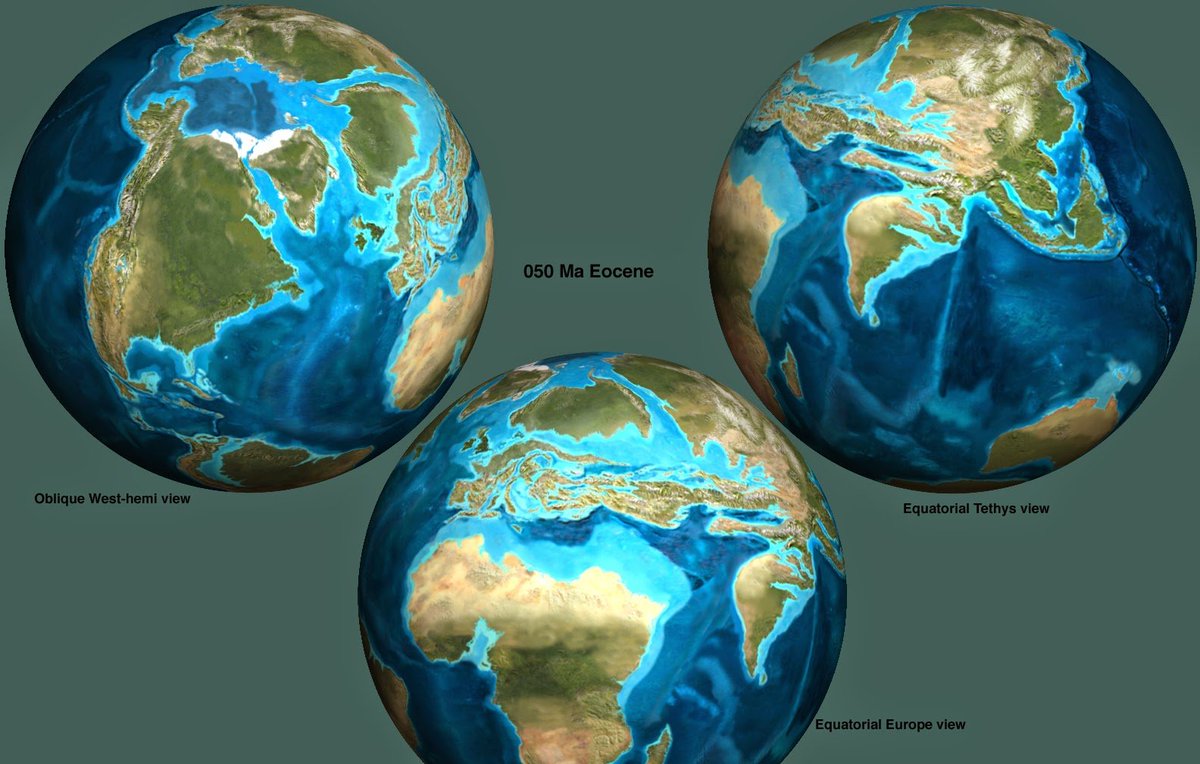 Thinking about the Eocene again.