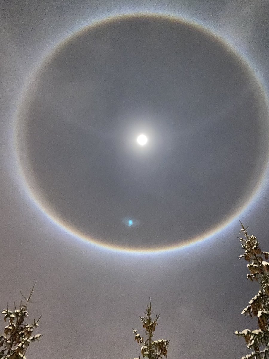 sigonar's tweet photo. Walking my dog, past midnight, very light snow coming down, full moon. Very cool and kind of scary visual effect above our heads in the Swiss Alps https://t.co/aTfaGvgLyK