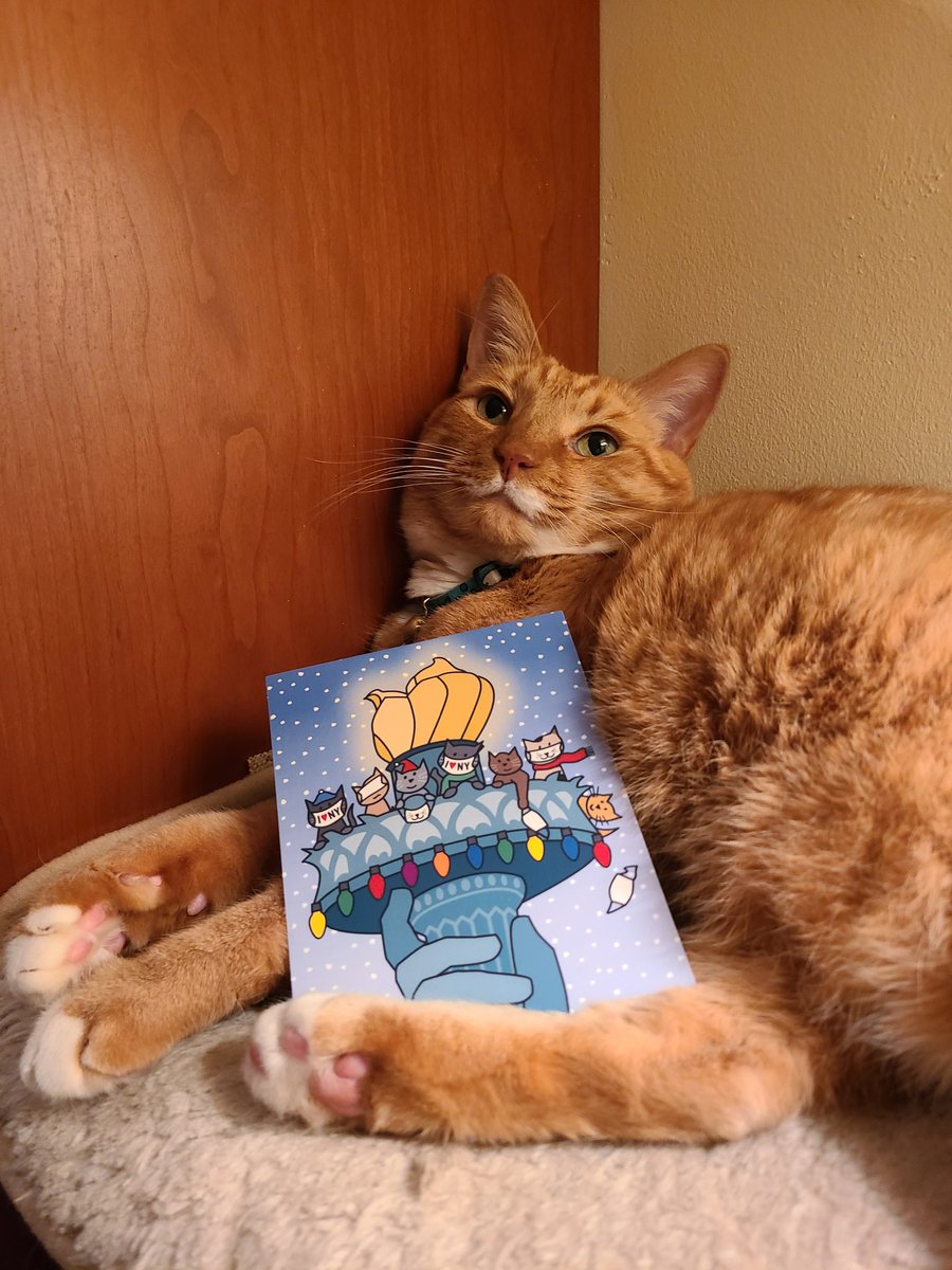 WaHiCats's tweet photo. And by popular demand, Office Assistant Harvey Milkstache posing with this year's card. https://t.co/KkWfQoSIyc