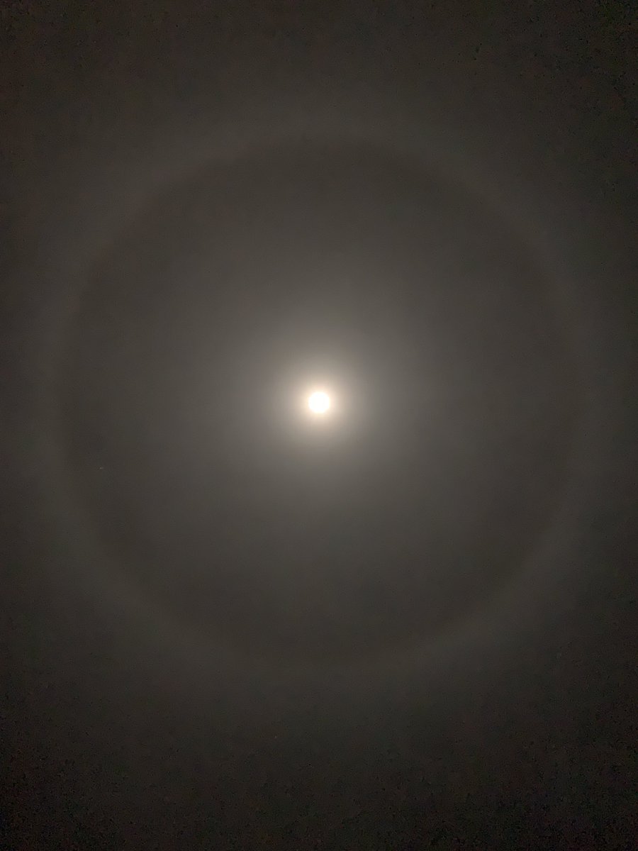 lss_rubi's tweet photo. I per aconiadar l’any (gairebé...) lluna plena amb un halo perfecte!!! @TomasMolinaB @eltempsTV3 @Monica_Usart @enricagud @MeteoBarrufet @MeteoMauri #orista #putuany2020 #lluna https://t.co/G9XF188adX