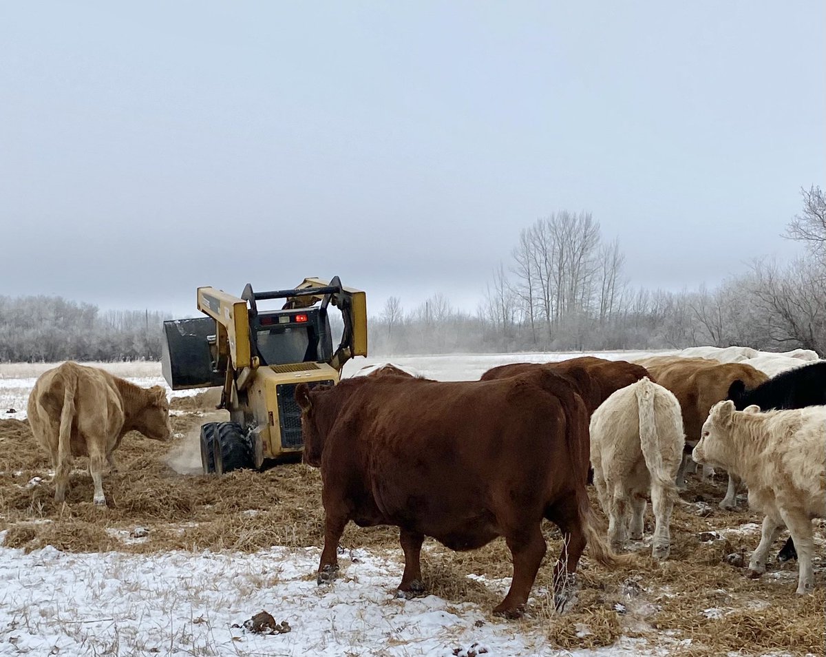 Double M Livestock tweet media