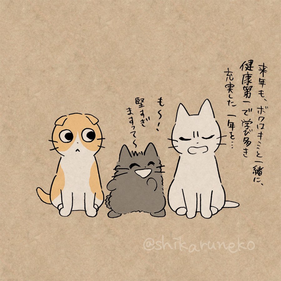 大晦日の しかるねこと あまやかすねこと ながめるねこ 