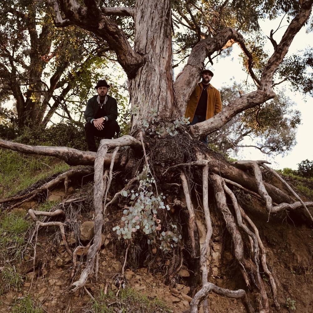 1. Miles by Blu & ExileDon’t let the length deter you, this is one of the best pieces of art that hip hop has given us in years. Top notch rapping and production from start to finish. Best Songs: When Gods Meet, The Feeling, You Ain’t Never Been Blue, and The American Dream