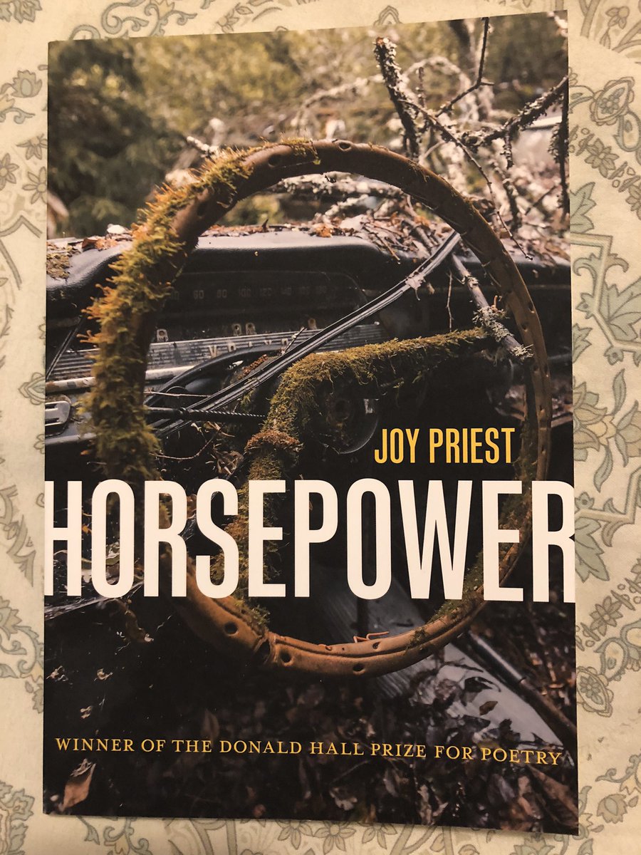 Kentucky poets always bring the fire!  @Dalai_Mama_ has shown herself a formidable new voice in the literary firmament with this debut that, to me, is the truest portrait of Louisville, KY yet. A critical yet loving tribute to a home that perseveres despite racism and exploitation