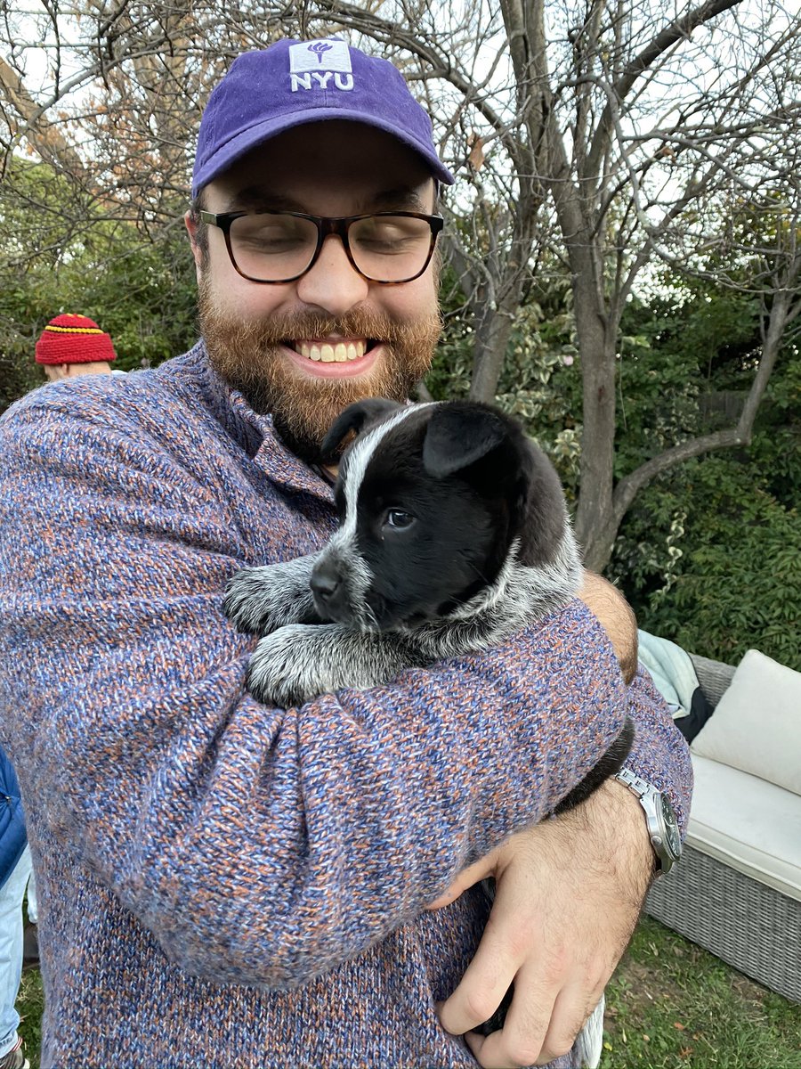 This is Billie, another cattle dog pupper. Yes she is asleep in my arms (17/?)