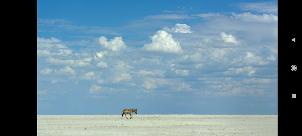 Doğadan uzaklaştıkça vahşileştik.İhtirasımızın kölesi olup özümüzü unuttuk ve iradesizliğimiz yüzünden her şeyi şeytana mal ettik. Dünyayı yaşanılamaz hale getirip suçu göreceli bir zamana isnad ettik. Umut;ne 2021 ne de başka bir yıldadır, tahrip ettiğimiz sürece #YeniUmut2021
