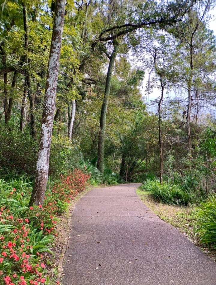 “The Simple Path
Silence is Prayer
Prayer is Faith
Faith is Love
Love is Service
The Fruit of Service is Peace”
#path #PhotoOfTheDay #peace #love #RainbowSpringsStatePark #journey #prayer #faith #hope #silence #Florida