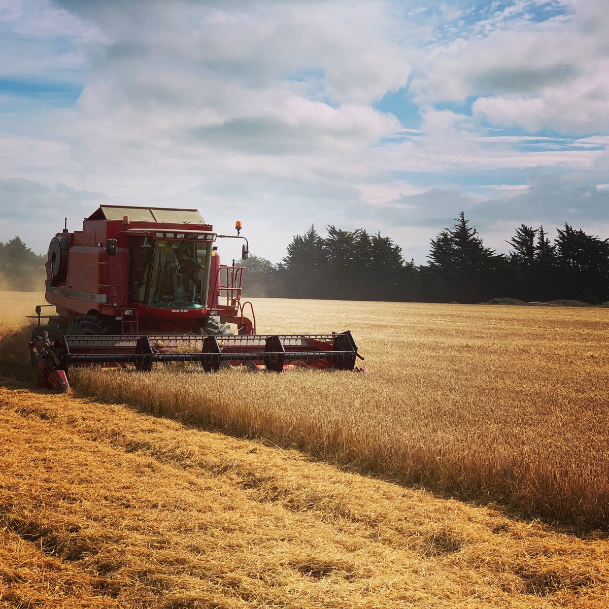 Let’s knock the bastard off!
Happy 2021 everyone #cheersforthesupport #bringiton2021 #morebarley #moremalt #morebeer