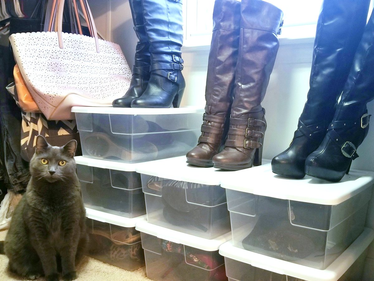 DCor3s's tweet photo. 🐈Khajiit has wares if you has coin! 💰
Another awesome stream tonight. We're really loving the new schedule! Thank you for the raids @Pook1985Online &amp; @rStationGaming. Also @theAcuteAngel1 and @MindMineTV for yesterday! ❤❤ https://t.co/CINTDzt3eU