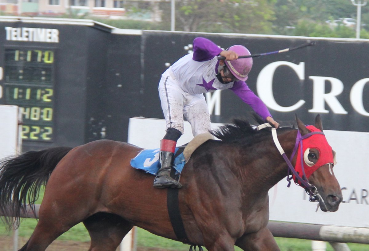 Thanos K, con gran fuerza en los últimos metros de la carrera doblegó a sus rivales, para imponerse en el Clásico Luis Shirley, el miércoles 30 de diciembre, en el Hipódromo Presidente Remón. Foto: <a href="/monroevsky/">⍟ MONRAW ⍟</a> #Panamá #Hípica #LaRecta507 #HipódromoPresidenteRemón