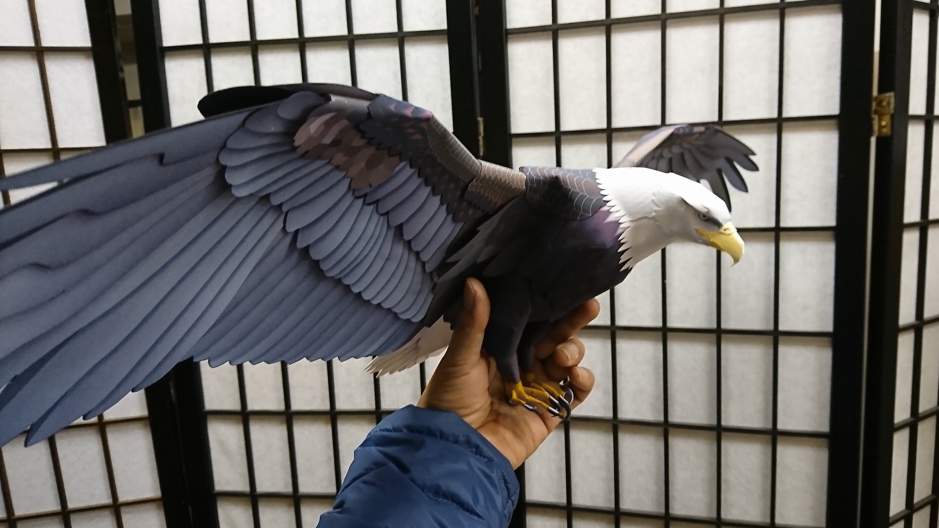 Pino Ar Twitter 鷹ってかっこいいな でも実際に飼うのは けっこう大変なんでしょうかね これはペーパークラフトですがね ペーパークラフト 猛禽類 タカ 鳥 T Co Cmmndo9xzg Twitter