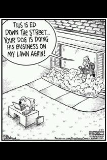 LaQuintaCA's tweet image. Business. As. Usual.

#DogAtWork

#GetOffTheLawn

#Dog