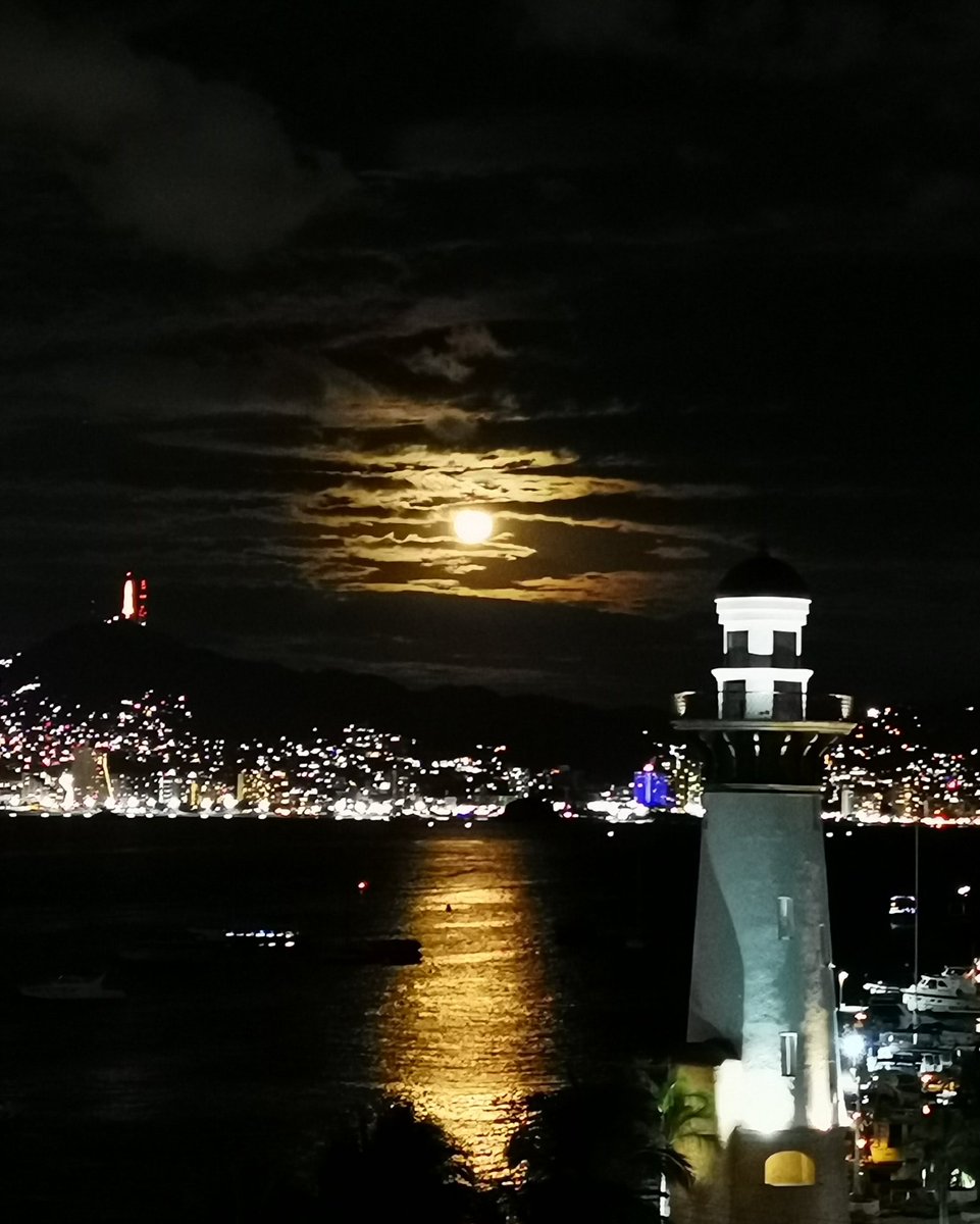 Patricia De La Concha tweet media