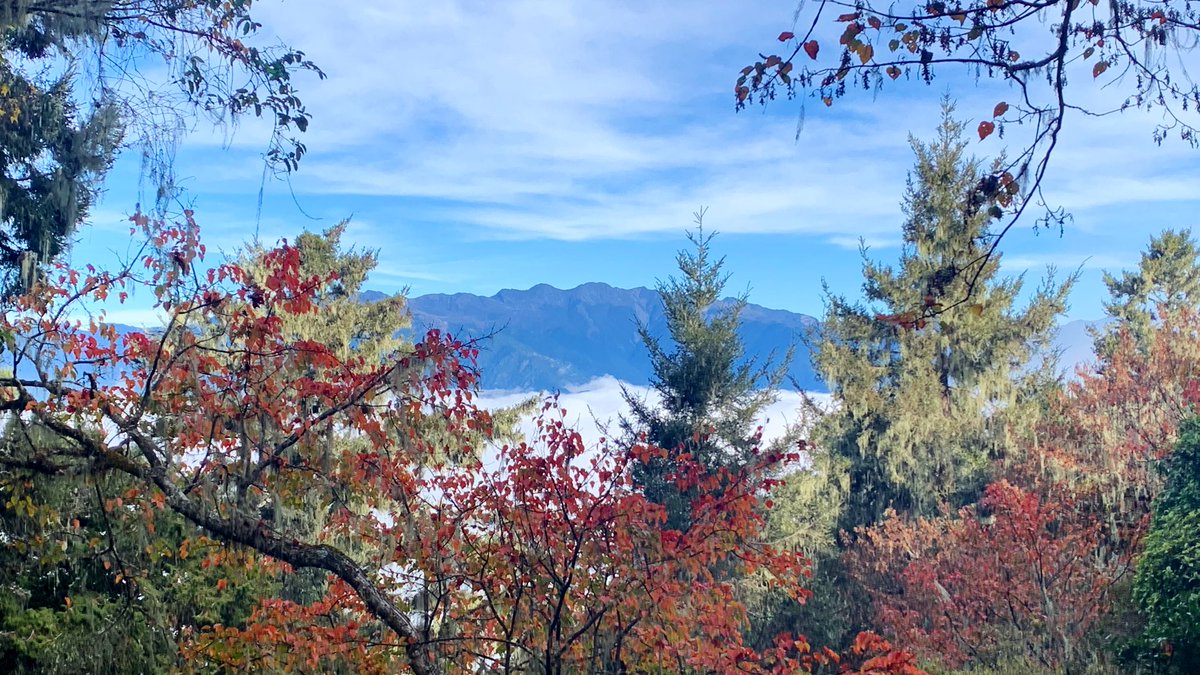 And what we didn’t do:• Lockdowns. Other than delaying reopening schools in spring (made up for later), and the border being restricted, most things have remained open. A few big events (esp in spring) were cancelled.Sea of clouds. Sky of wisps.